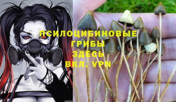 ешки Алзамай