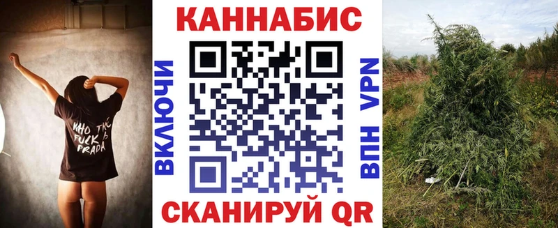 Конопля тримм  маркетплейс наркотические препараты  Пикалёво  купить закладку 